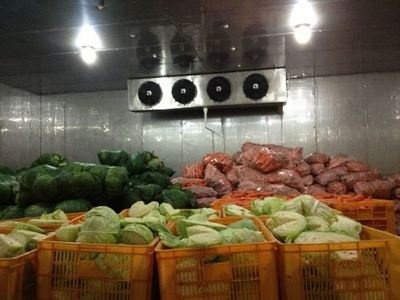 西安瓜果蔬菜保温库